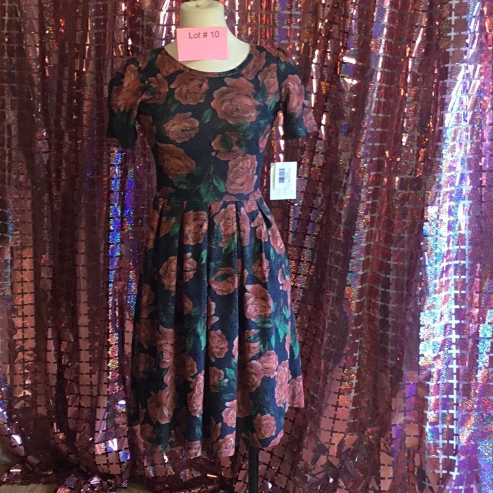 NWT LULAROE AMELIA dress in size extra small vintage rose design